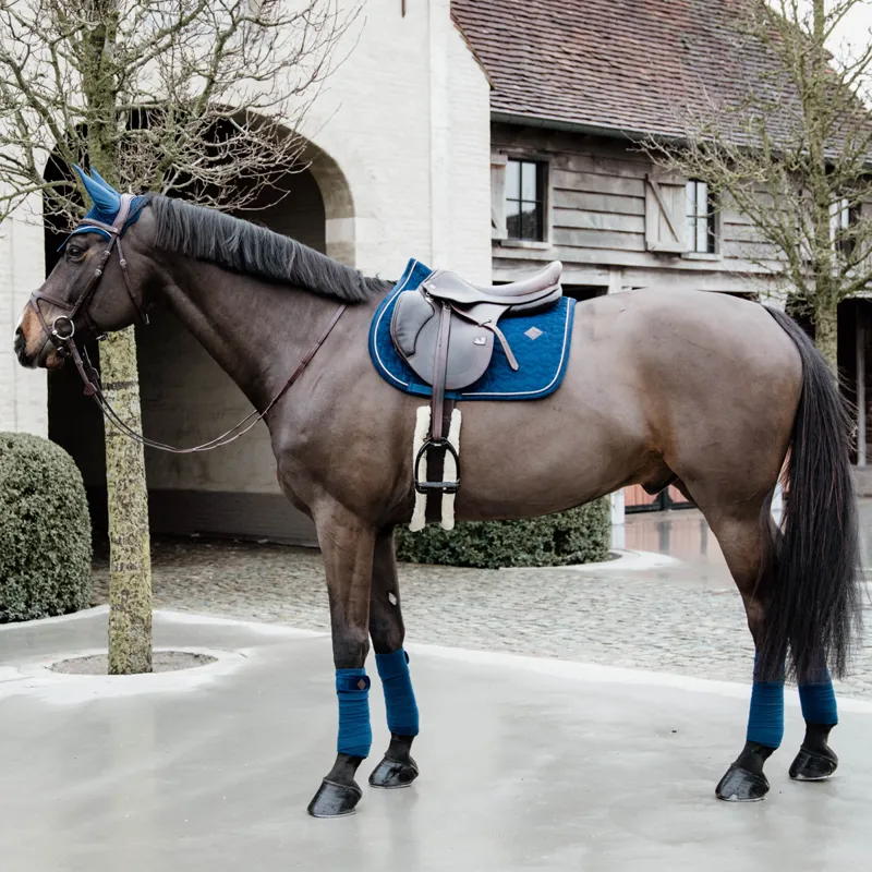 Kentucky Velvet Jumping Saddlecloth - Navy-1
