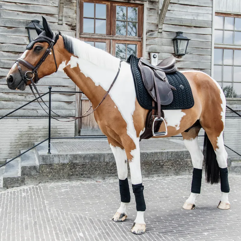 Kentucky Velvet Pearls Dressage Saddlecloth - Black-2