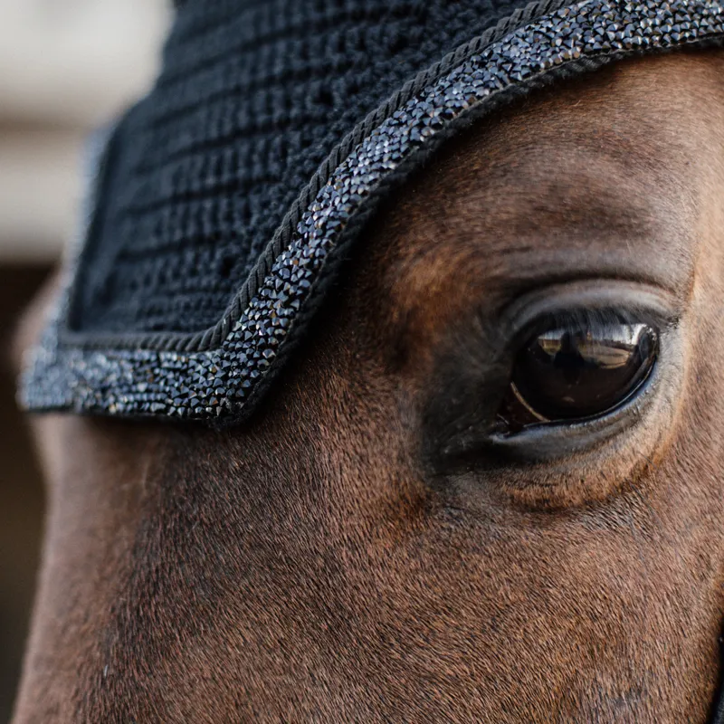 Kentucky Wellington Glitter Stone Soundless Fly Veil - Black-2