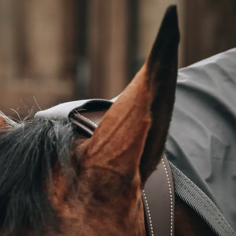 Kentucky Hurricane Raincoat Rug - Grey-1