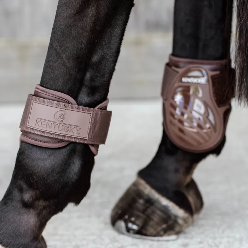 Kentucky Young Horse Vented Fetlock Boots - Brown-1