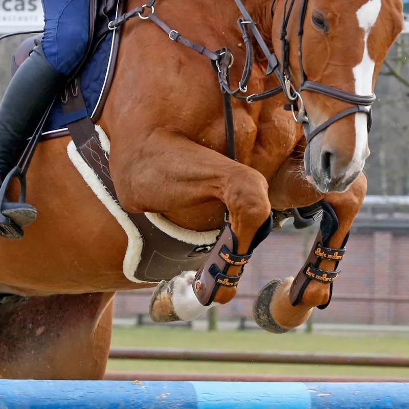 Kentucky Sheepskin Stud Girth - Brown/Natural-7