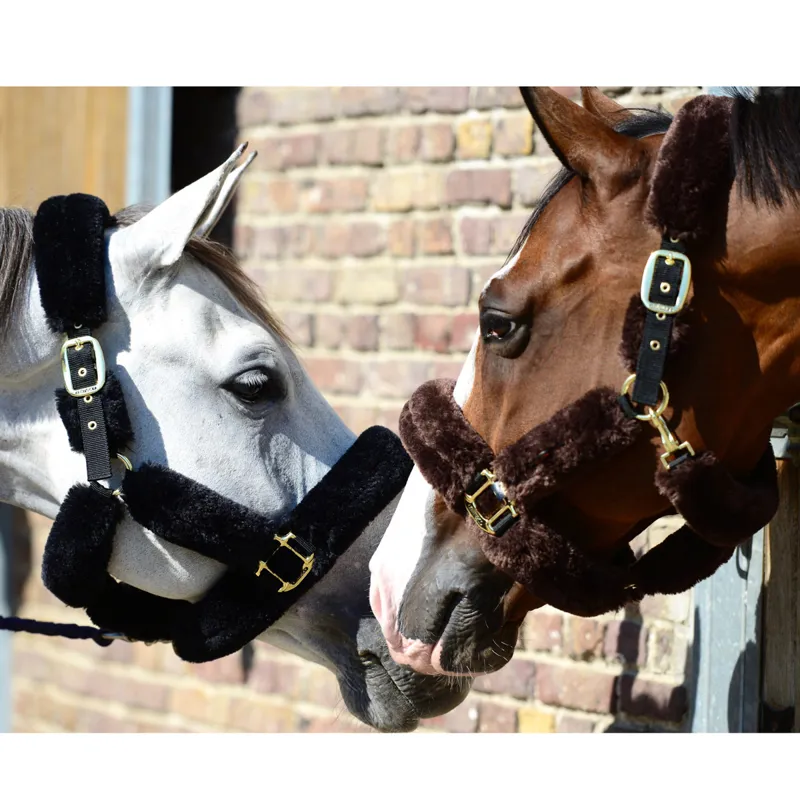 Kentucky Shipping Synthetic Sheepskin Headcollar - Brown-3