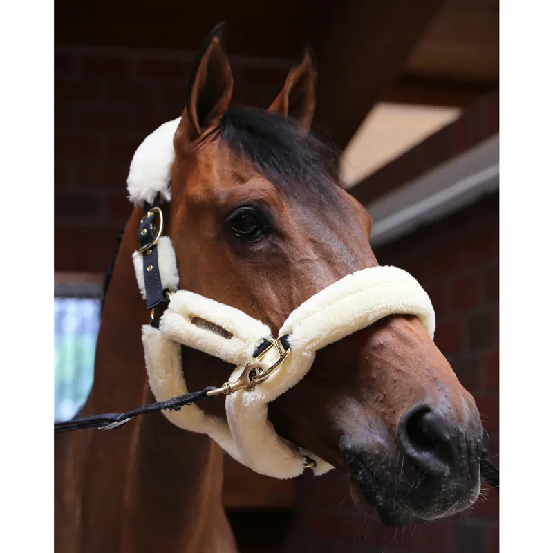 Kentucky Shipping Synthetic Sheepskin Headcollar - Natural