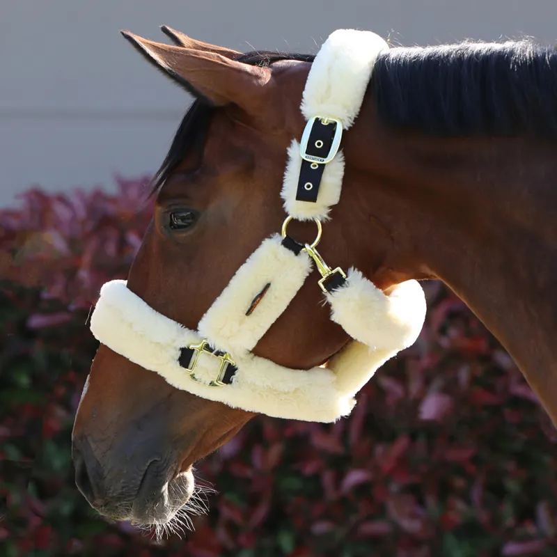 Kentucky Shipping Synthetic Sheepskin Headcollar - Natural-1