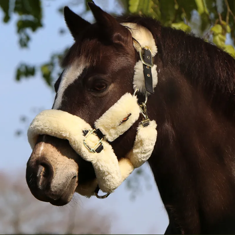 Kentucky Shipping Synthetic Sheepskin Headcollar - Natural-2