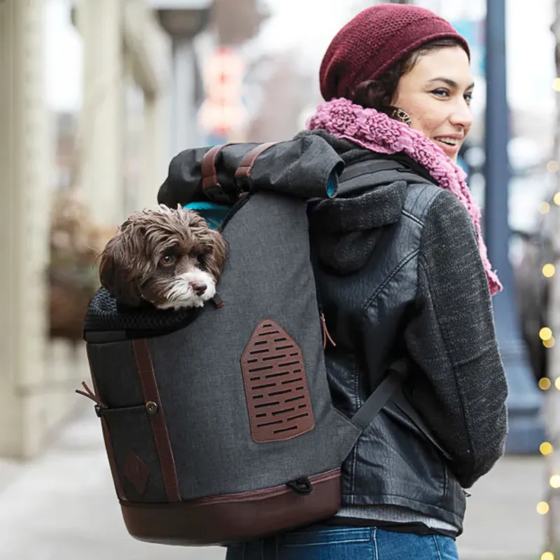 Kurgo K9 Dog Rucksack - Heather Black