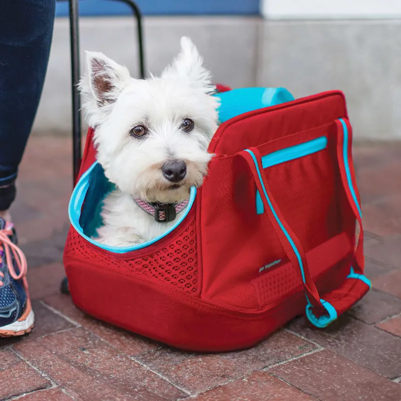 Kurgo Explorer Dog Carrier - Red-1