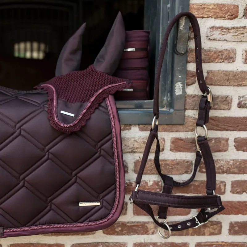 Lami-Cell Aurora Headcollar - Burgundy-1