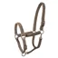Lami-Cell Aurora Headcollar - Champagne