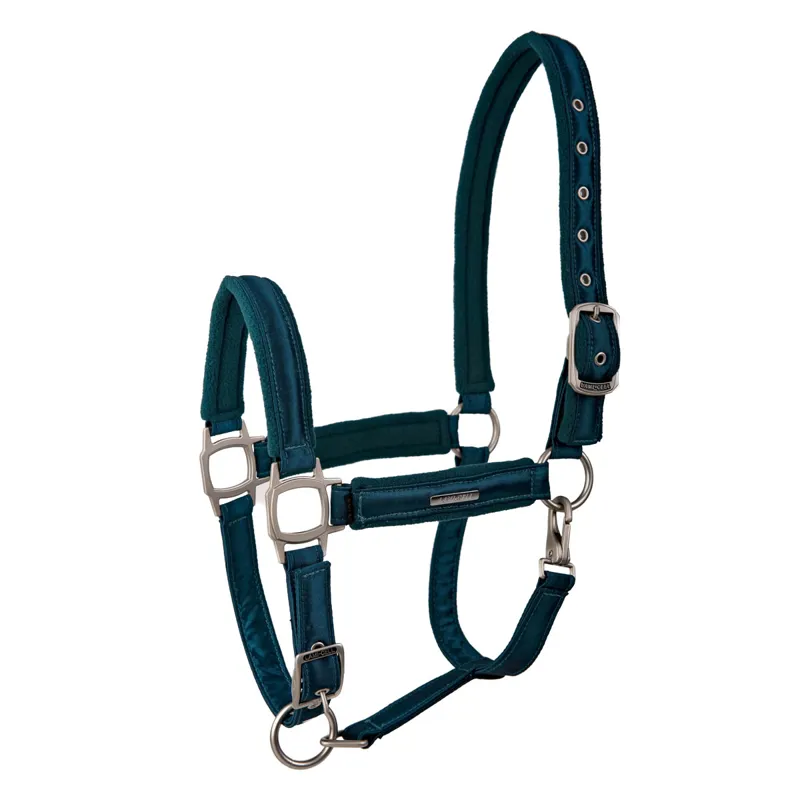 Lami-Cell Aurora Headcollar - Teal