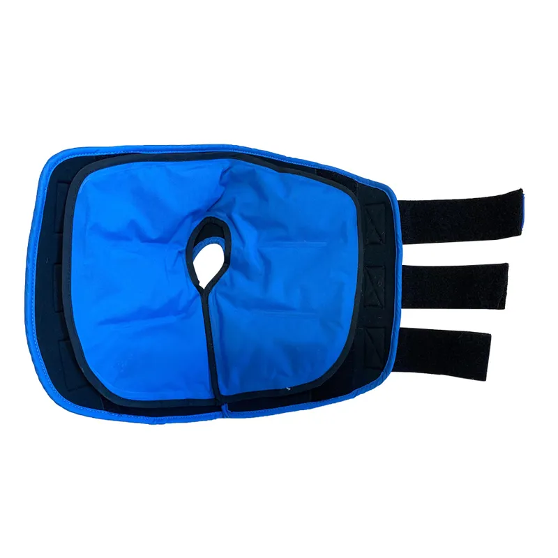 Lami-Cell Pro Ice Cooling Therapy Hock Boots - Black-1