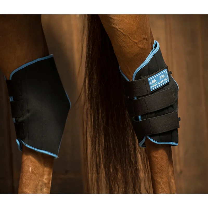 Lami-Cell Pro Ice Cooling Therapy Hock Boots - Black-2