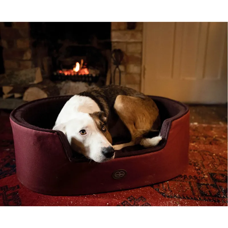 Le Chameau Dog Bed - Rouge-1