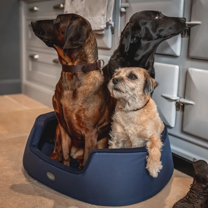 Le Chameau Dog Bed - Blue Fonce-1