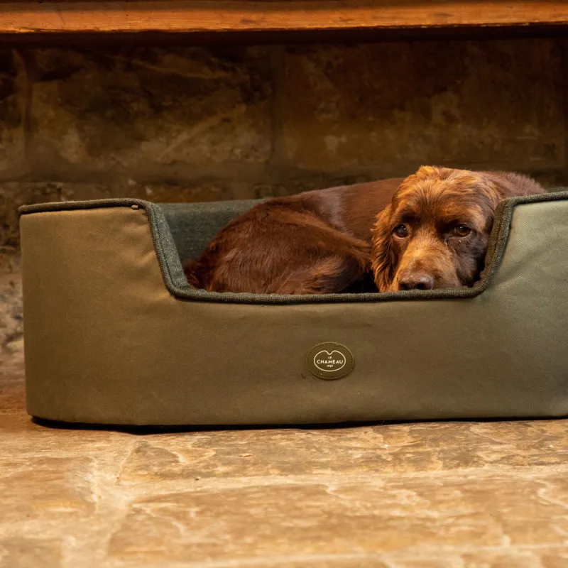 Le Chameau Removable Cushion Dog Bed - Vert Chameau-4