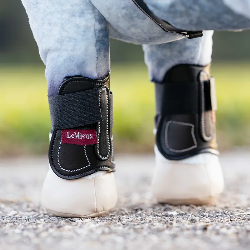 LeMieux Mini Toy Pony Capella Tendon/Fetlock Boots - Black-1