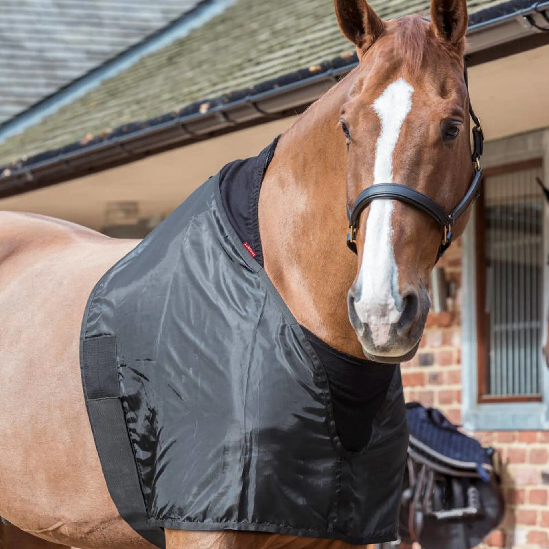 Anti Rube LeMieux Anti-Rub Bib - Black