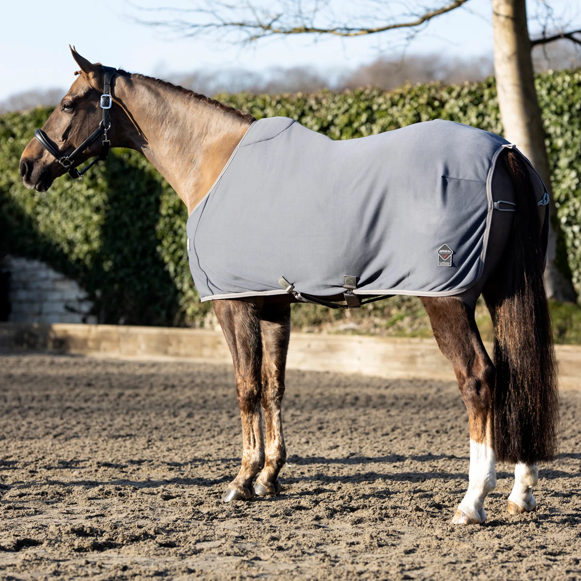 LeMieux Arika JerseyTek Fleece Rug Grey
