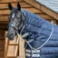 LeMieux Arika Stable-Tek 200g Neck Cover - Navy/Silver