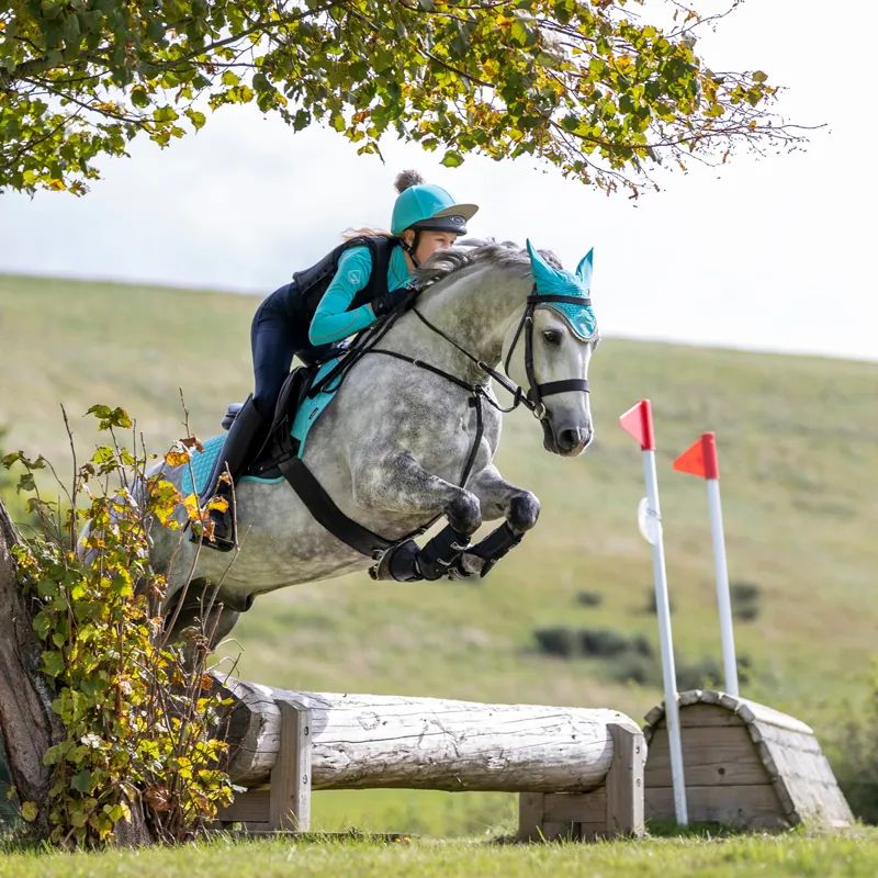 LeMieux Classic Fly Hood - Azure-3