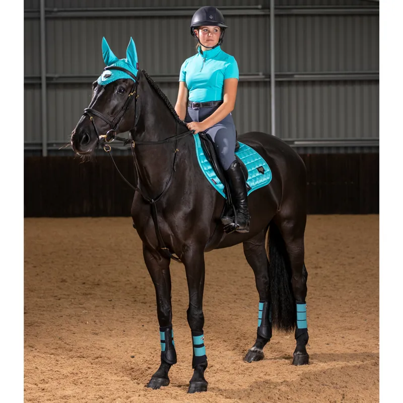 LeMieux Loire Fly Hood - Azure-6