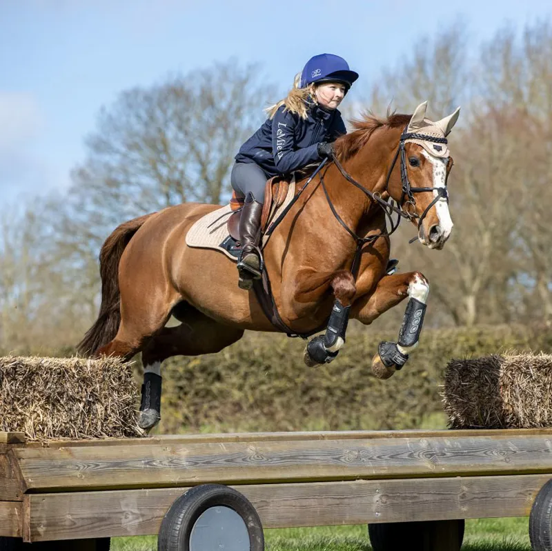 LeMieux Carbon Air XC Hind Boots - Black-2