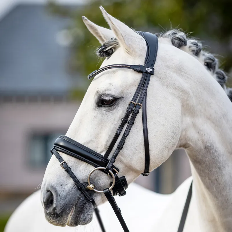 LeMieux Kudos Classic Dressage Flash Bridle - Black