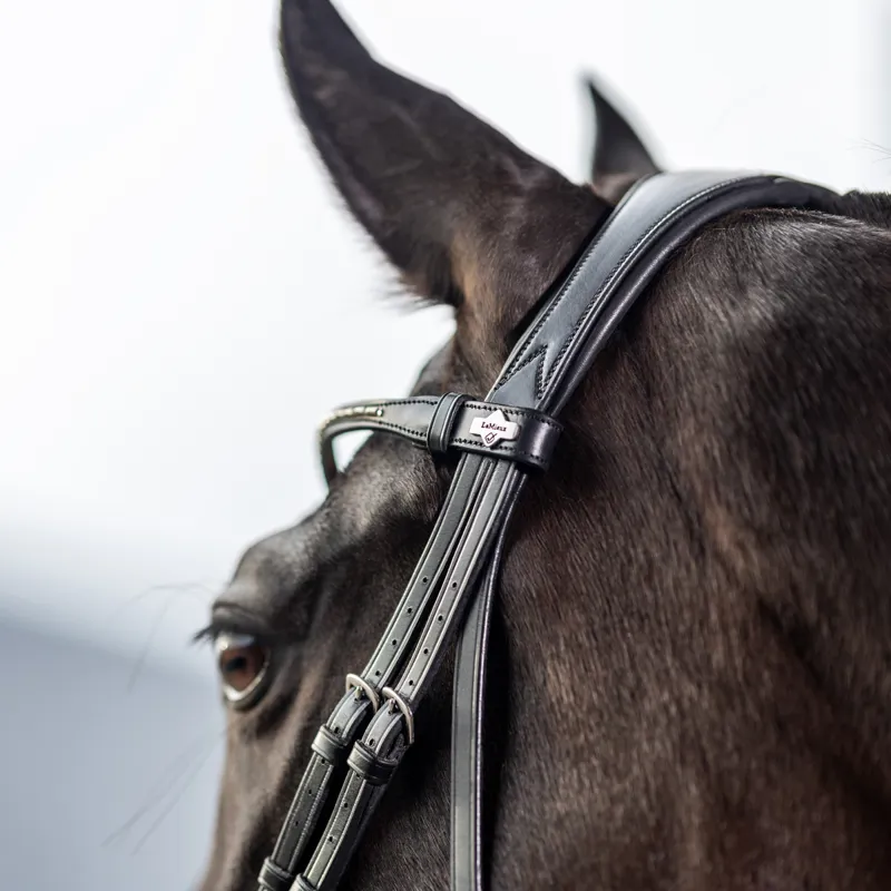 LeMieux Kudos Classic Dressage Flash Bridle - Black-1