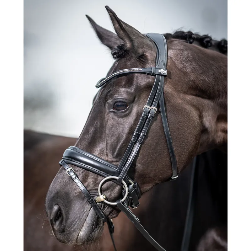 LeMieux Kudos Classic Dressage Flash Bridle - Black-2