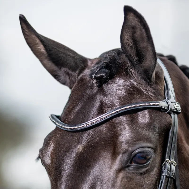 LeMieux Kudos Classic Dressage Flash Bridle - Black-3