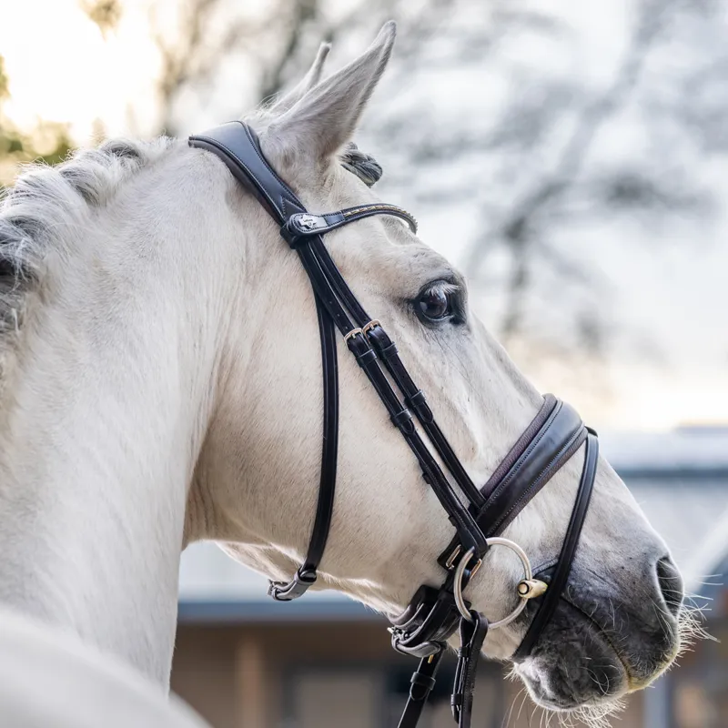 LeMieux Kudos Classic Dressage Flash Bridle - Havana-1