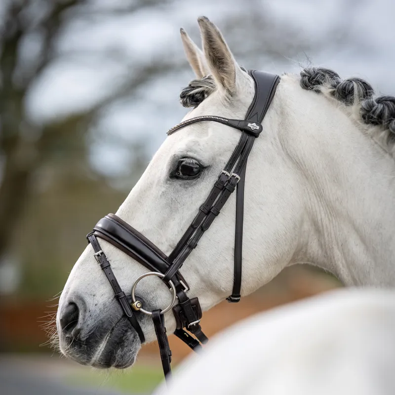 LeMieux Kudos Classic Dressage Flash Bridle - Havana-2