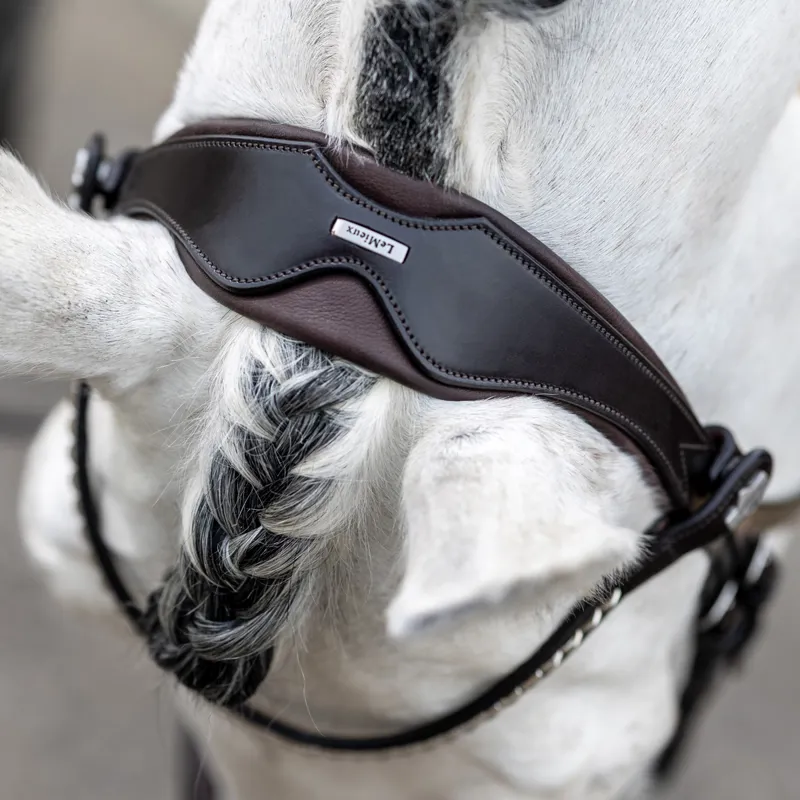 LeMieux Kudos Classic Dressage Flash Bridle - Havana-4
