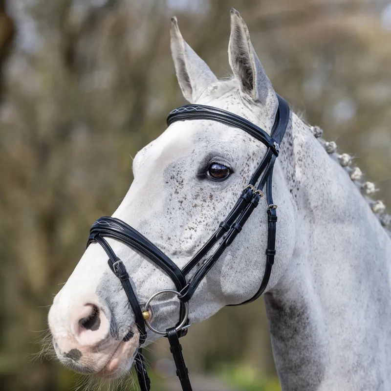 LeMieux Kudos Competition Flash Bridle - Black