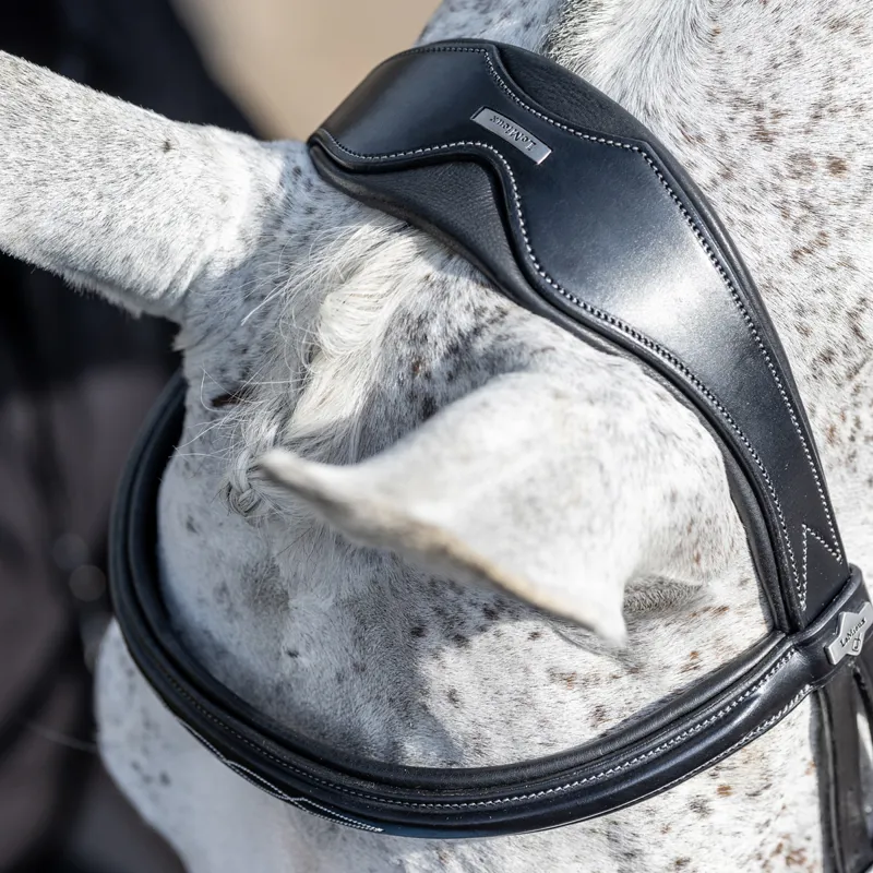 LeMieux Kudos Competition Flash Bridle - Black-2