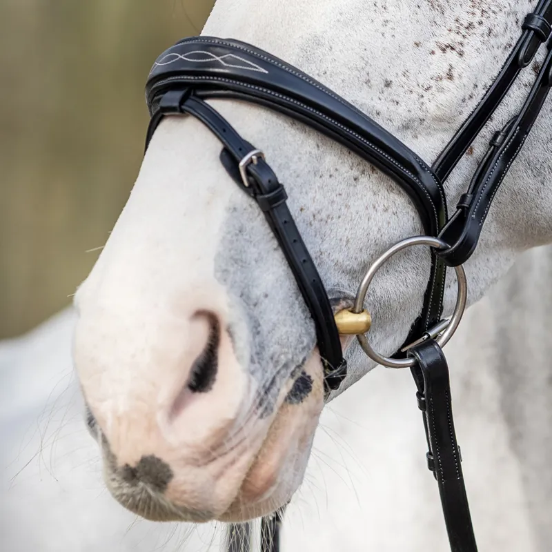 LeMieux Kudos Competition Flash Bridle - Black-3