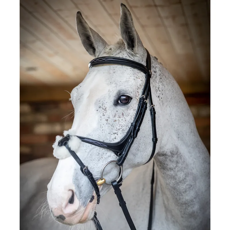 LeMieux Kudos Grackle Bridle - Black-1