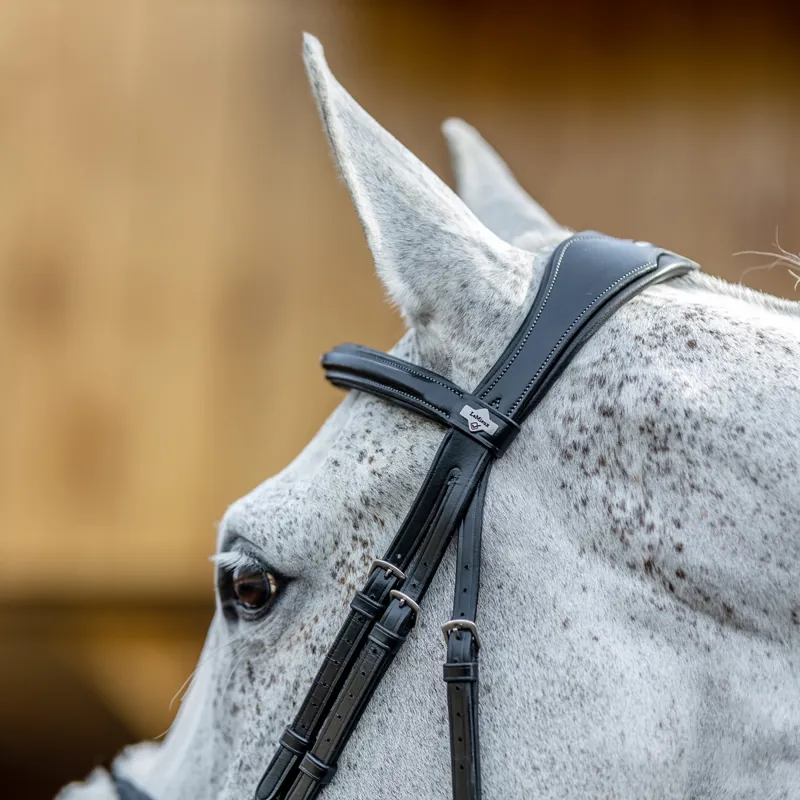 LeMieux Kudos Grackle Bridle - Black-2