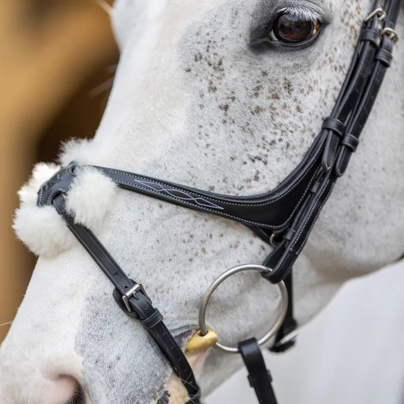 LeMieux Kudos Grackle Bridle - Black-3