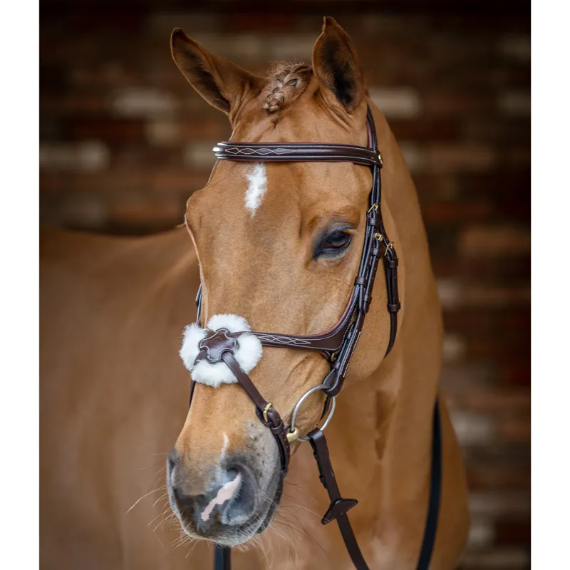 LeMieux Kudos Grackle Bridle - Havana-3