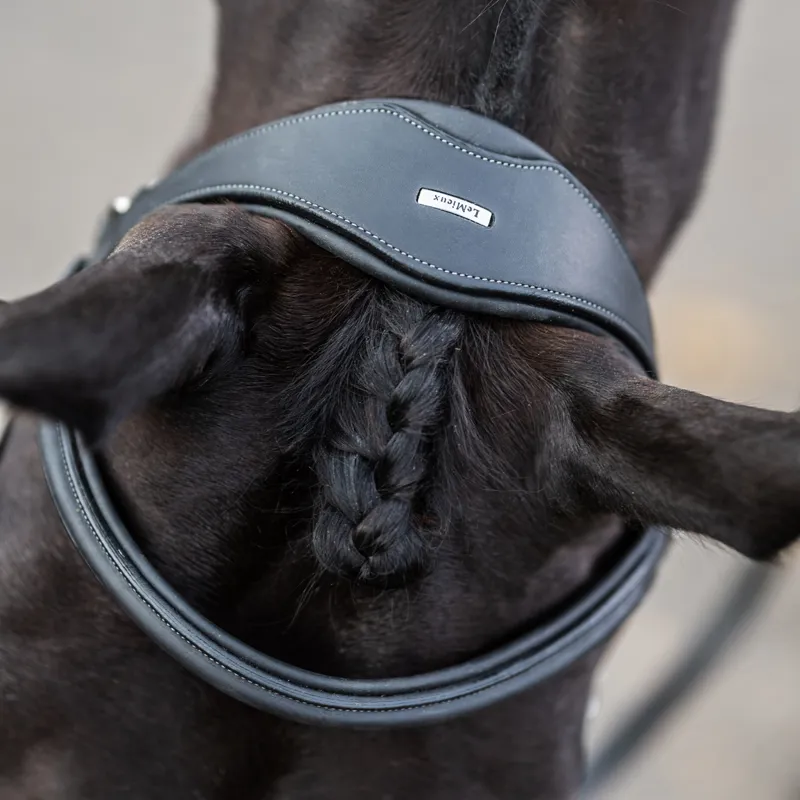 LeMieux Kudos Work Detachable Flash Bridle - Black-1