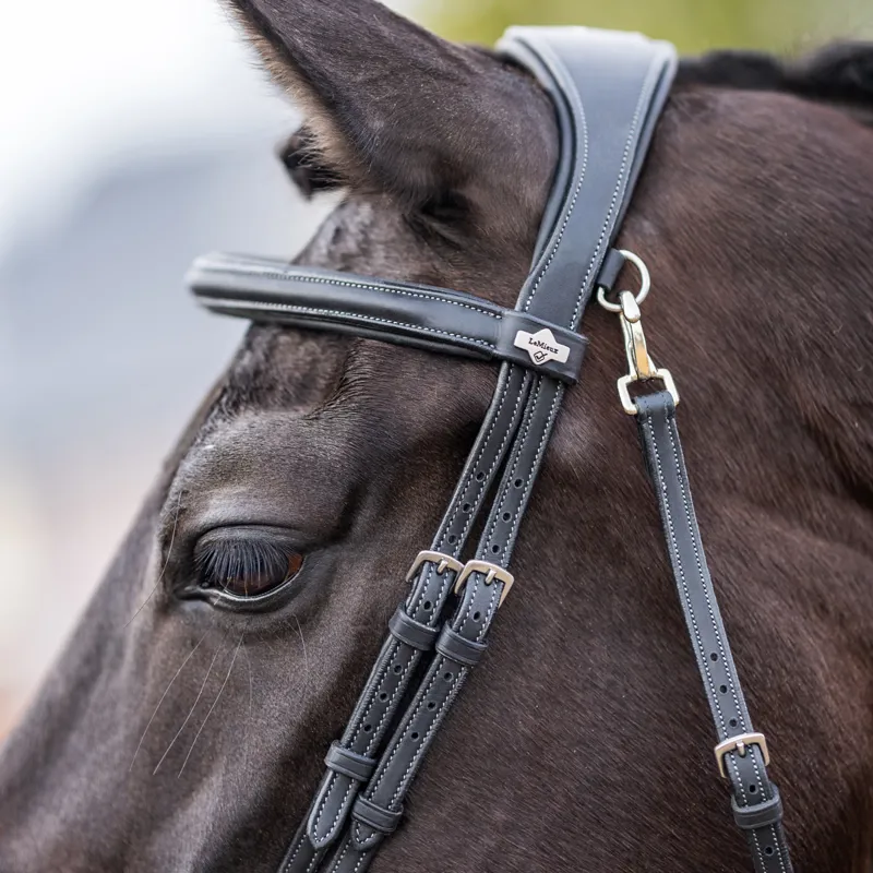 LeMieux Kudos Work Detachable Flash Bridle - Black-2