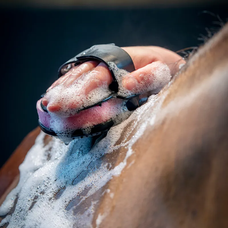 LeMieux Hippo Scrubber Brush-3