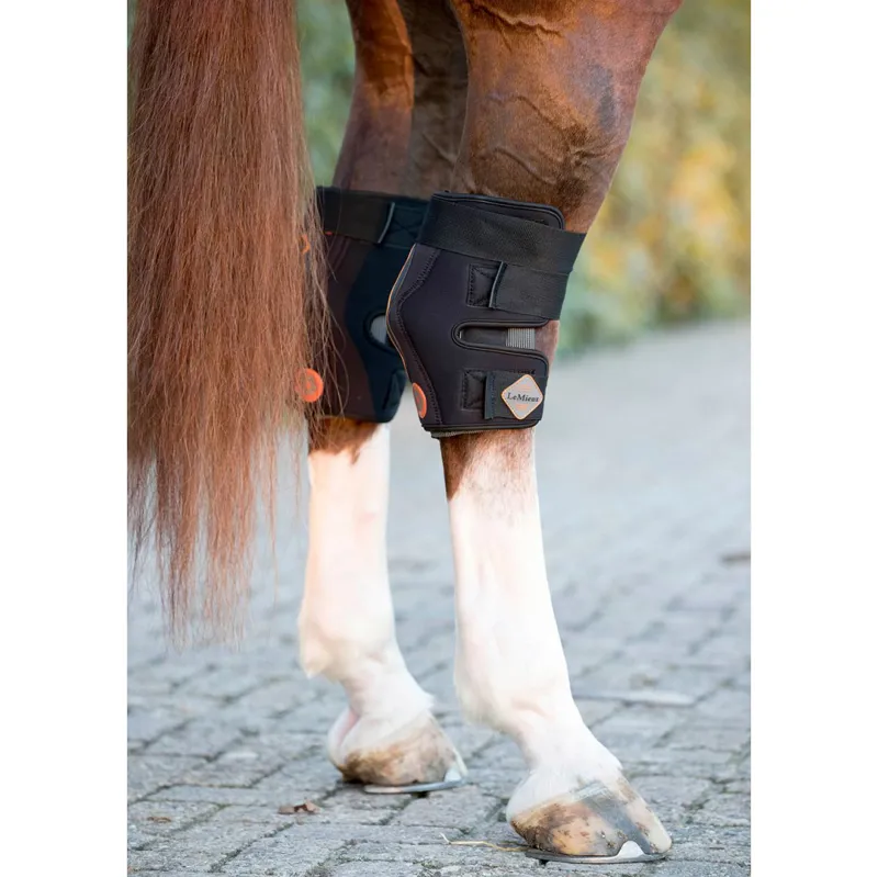 LeMieux Conductive Magno Magnetic Therapy Hock Boots-1