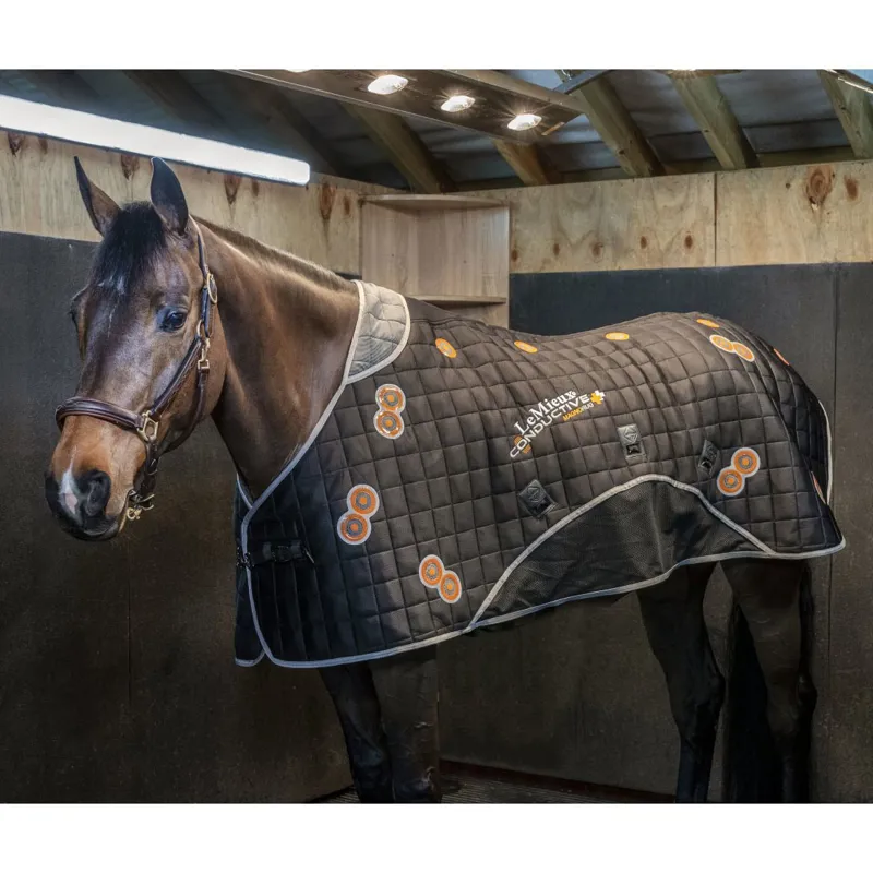 LeMieux Conductive Magno Therapy Rug - Black-1