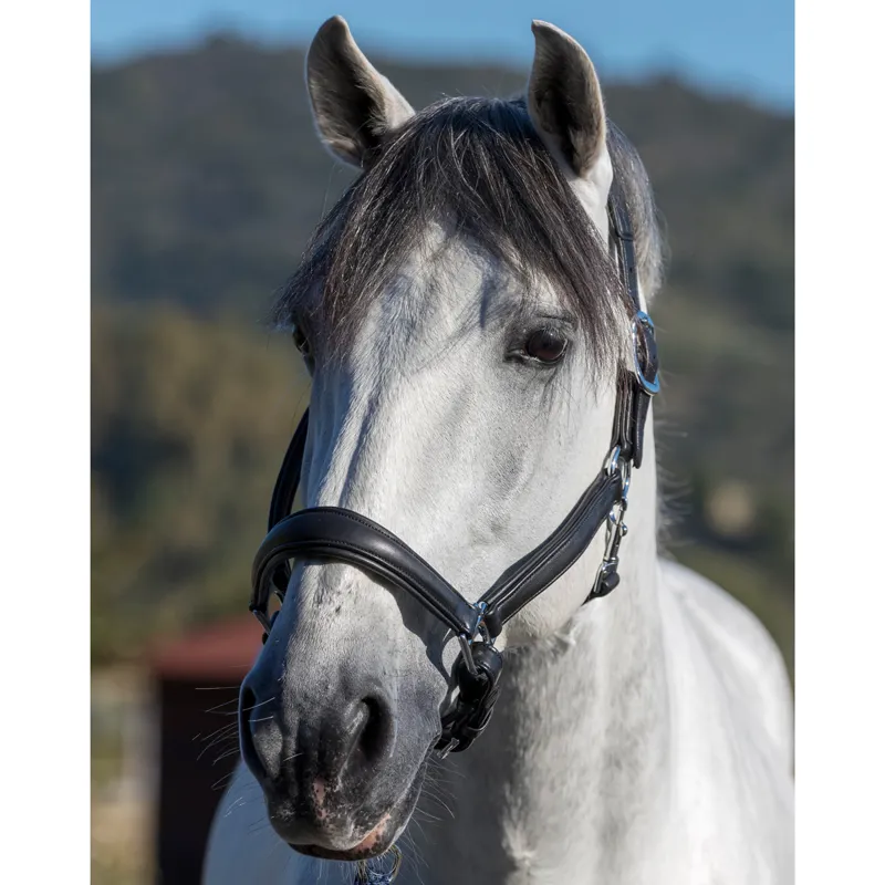 LeMieux Anatomic Leather Headcollar - Black-1