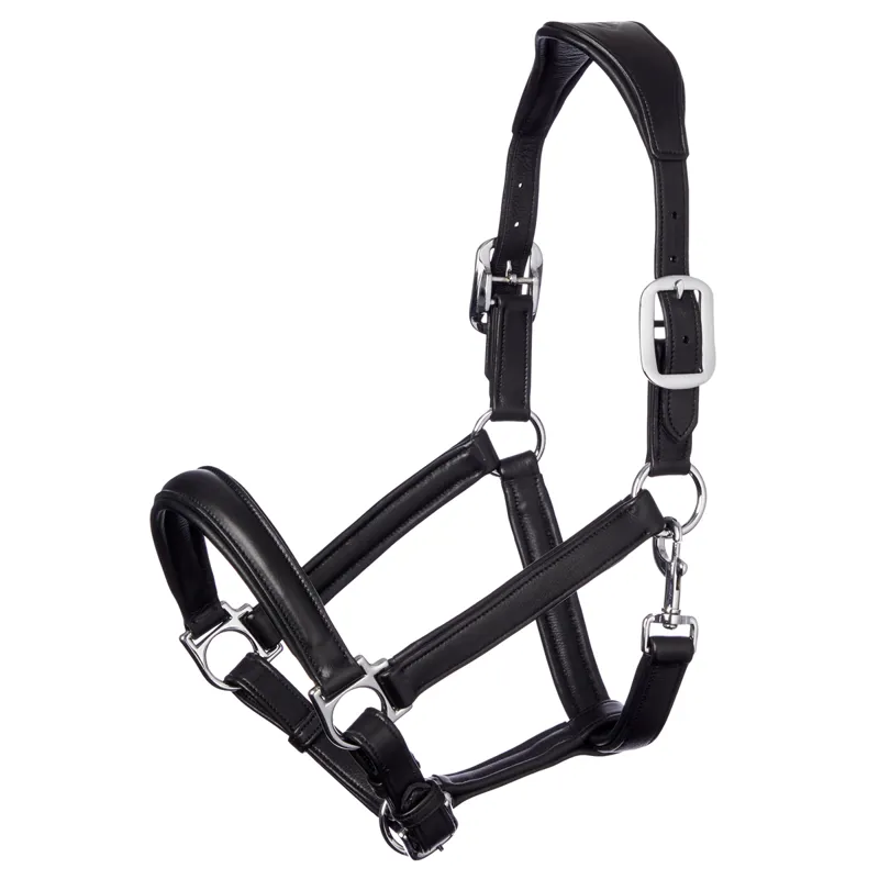 LeMieux Anatomic Leather Headcollar - Black