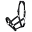LeMieux Anatomic Leather Headcollar - Black