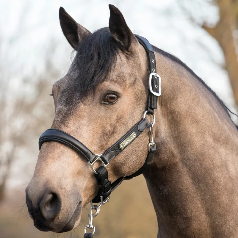 LeMieux Capella Leather Headcollar - Black/Black-1